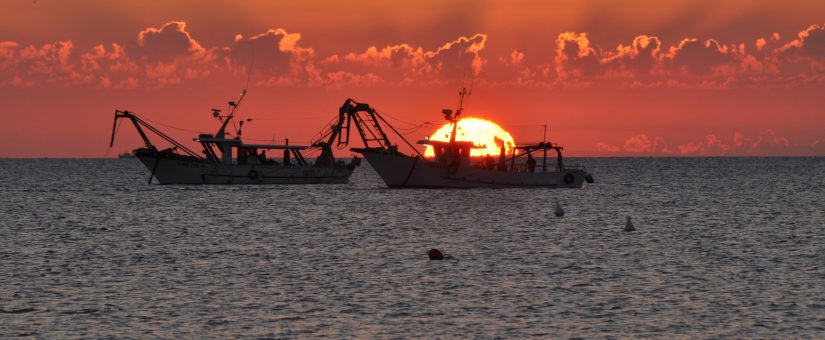 pesca con reti a strascico